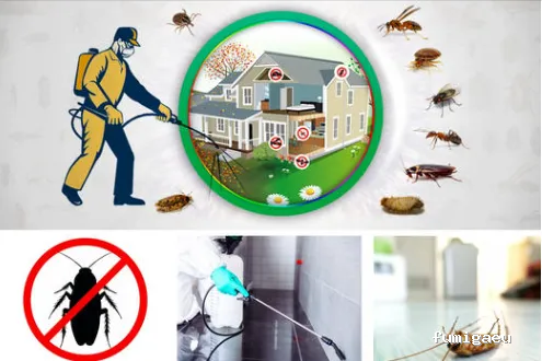 Hisal. Control de plagas Almería. Empresa de fumigación.