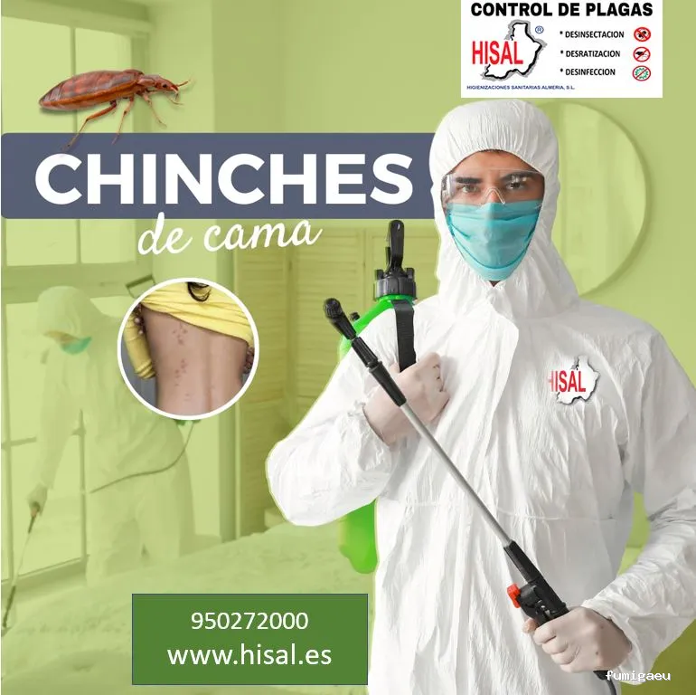 Hisal. Control de plagas Almería. Empresa de fumigación.