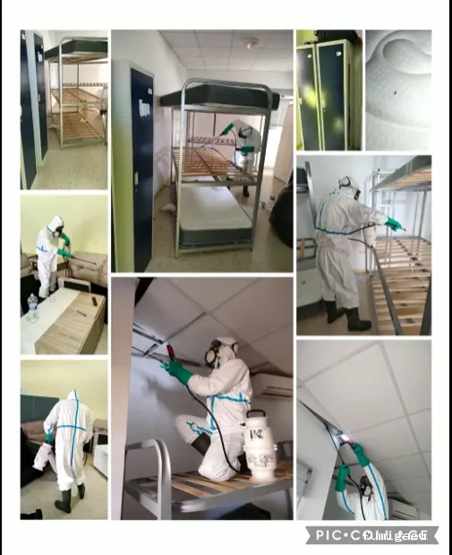 Hisal. Control de plagas Almería. Empresa de fumigación.