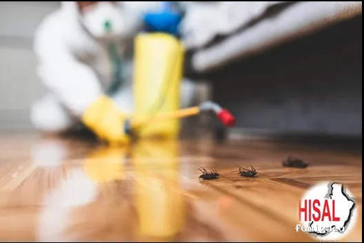 Hisal. Control de plagas Almería. Empresa de fumigación.