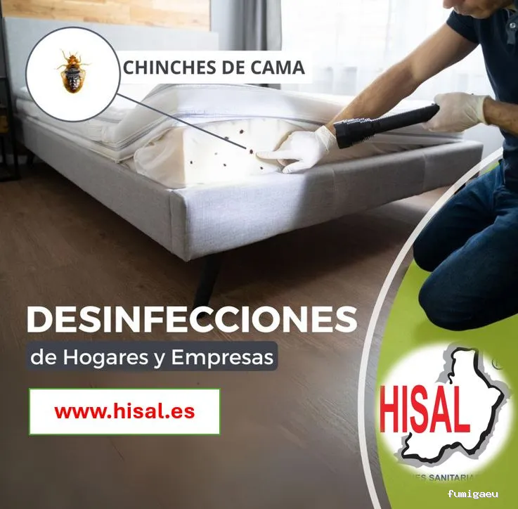 Hisal. Control de plagas Almería. Empresa de fumigación.