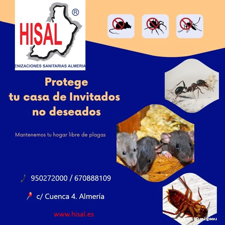 Hisal. Control de plagas Almería. Empresa de fumigación.