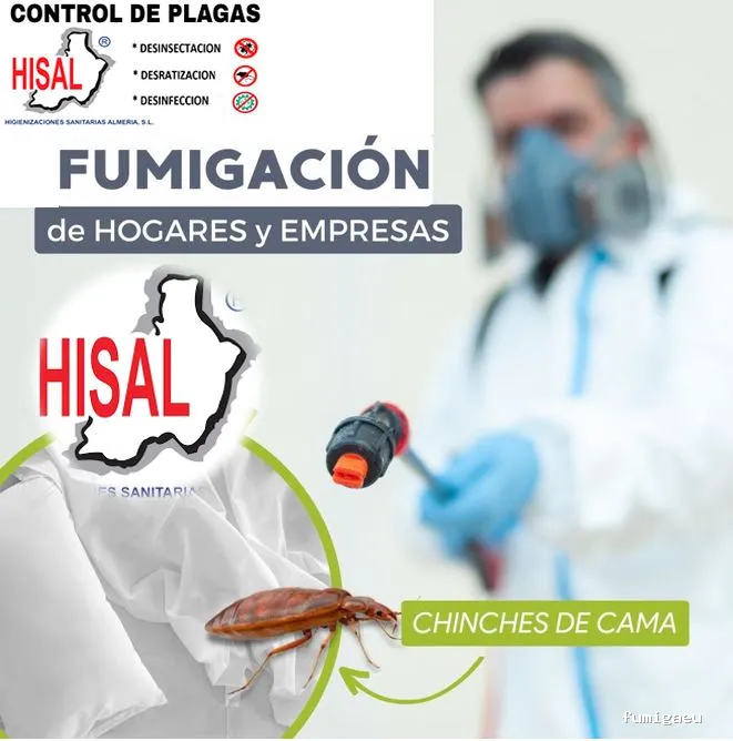 Hisal. Control de plagas Almería. Empresa de fumigación.