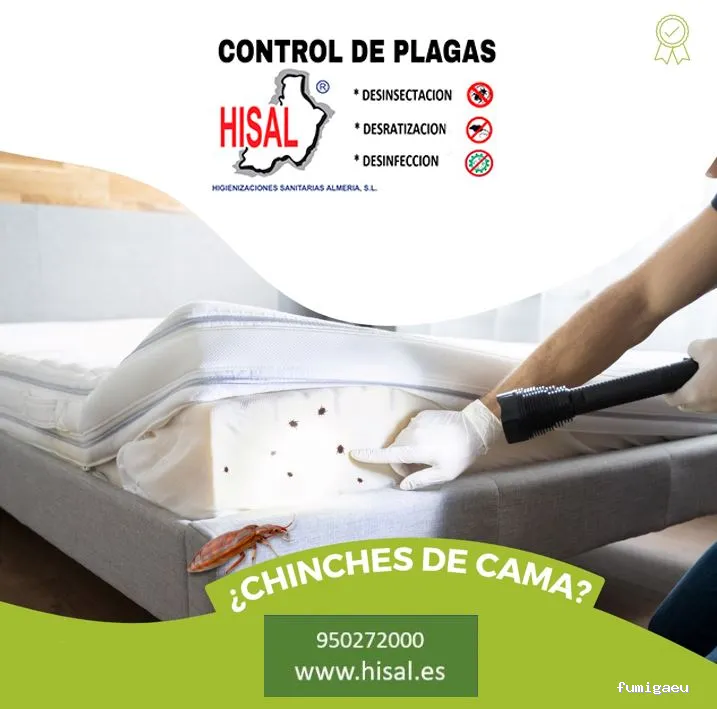 Hisal. Control de plagas Almería. Empresa de fumigación.