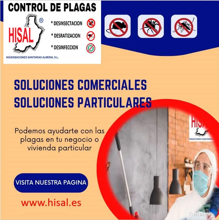 Hisal. Control de plagas Almería. Empresa de fumigación.