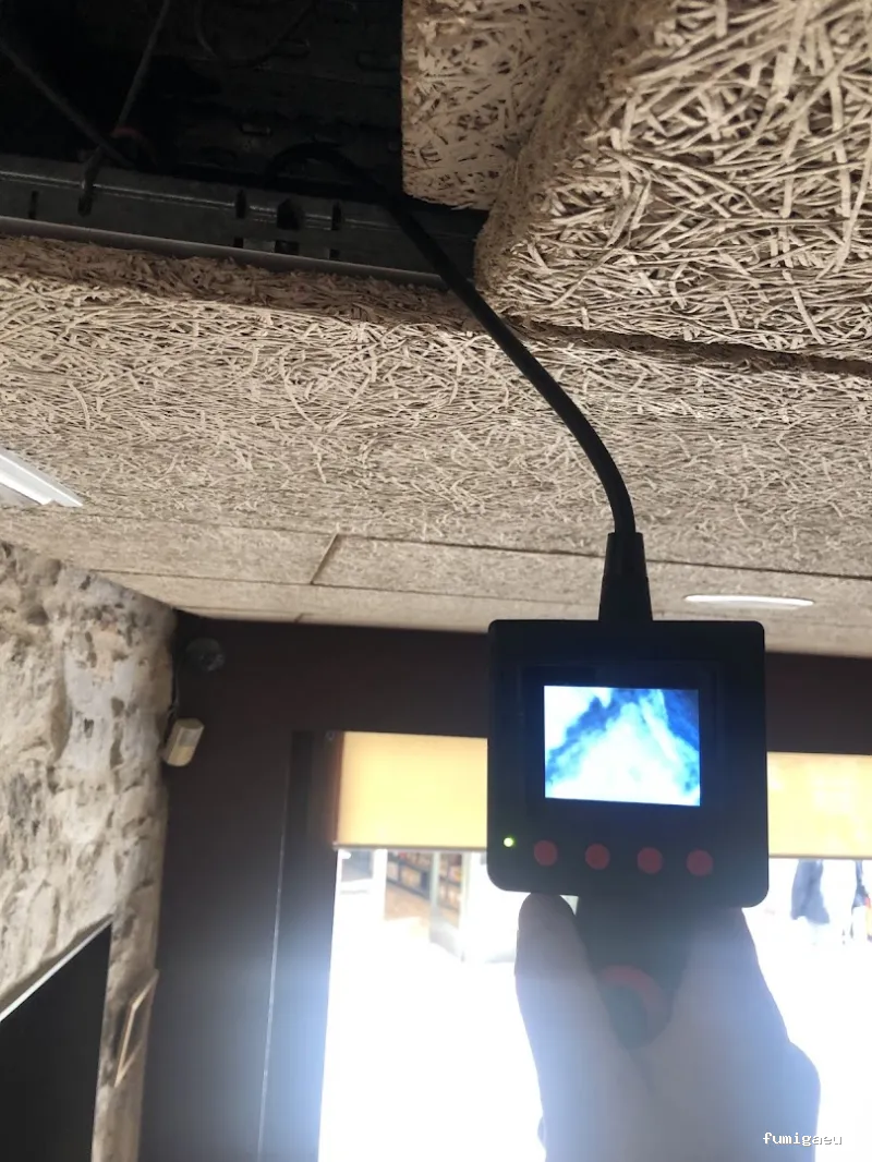 Control Integrat de Plagues Girona