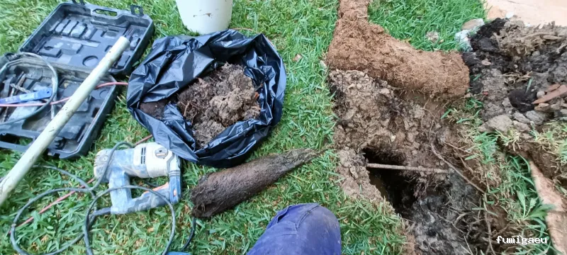 Desokuplagas - Control de Plagas Sevilla