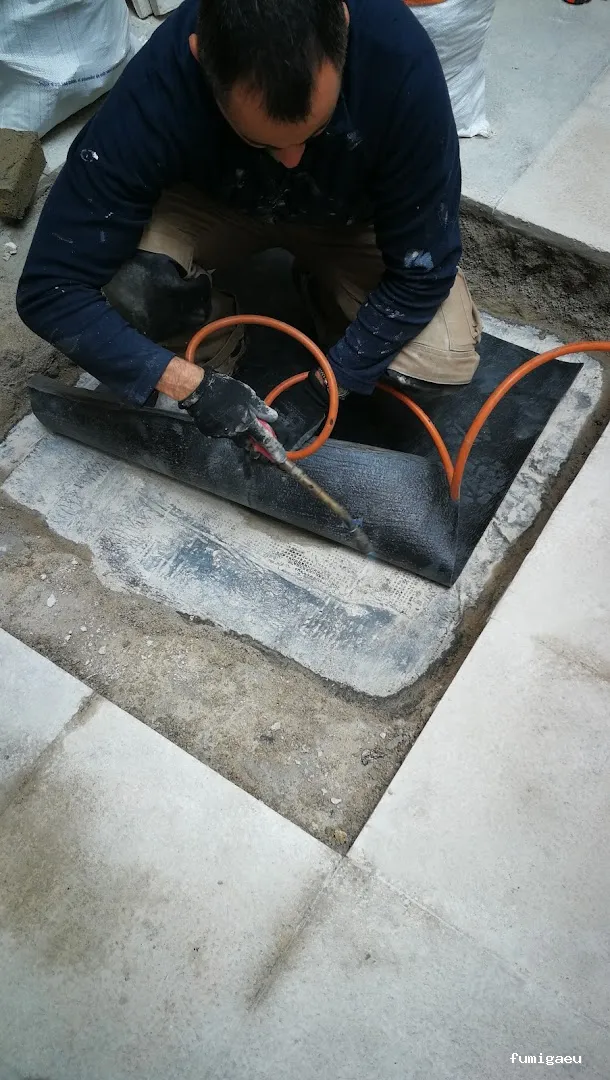 Desokuplagas - Control de Plagas Sevilla