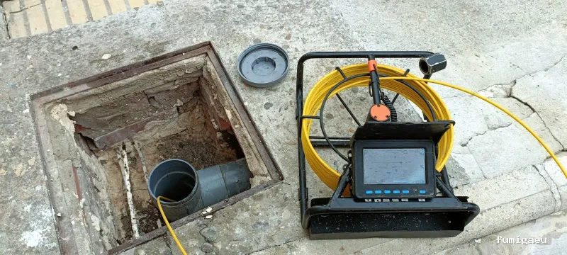 Desokuplagas - Control de Plagas Sevilla