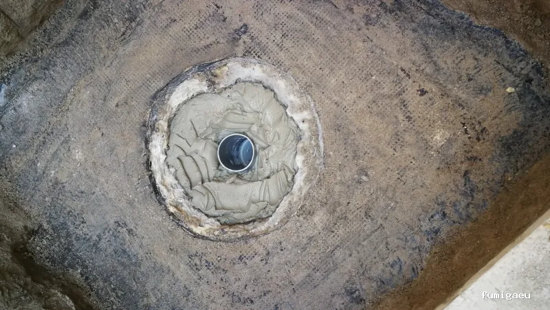 Desokuplagas - Control de Plagas Sevilla