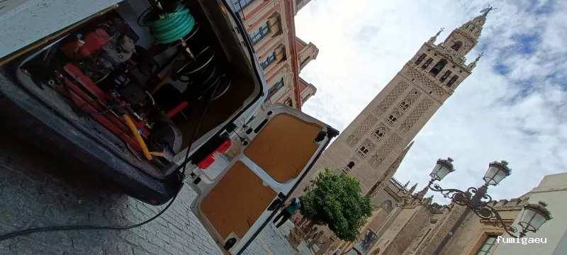 Desokuplagas - Control de Plagas Sevilla