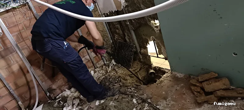 Desokuplagas - Control de Plagas Sevilla