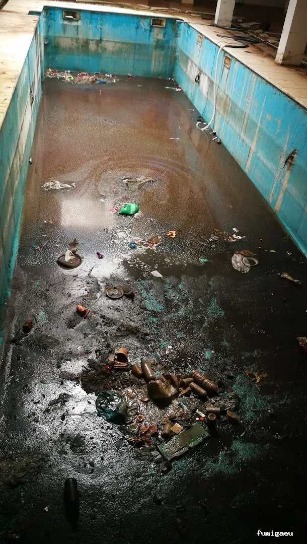 Desokuplagas - Control de Plagas Sevilla