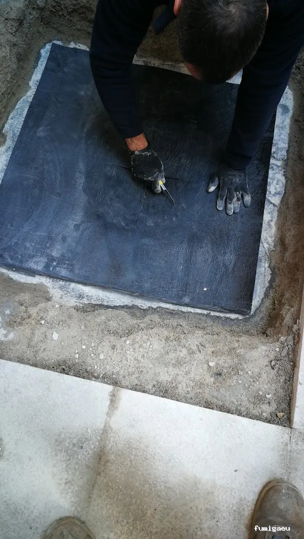 Desokuplagas - Control de Plagas Sevilla