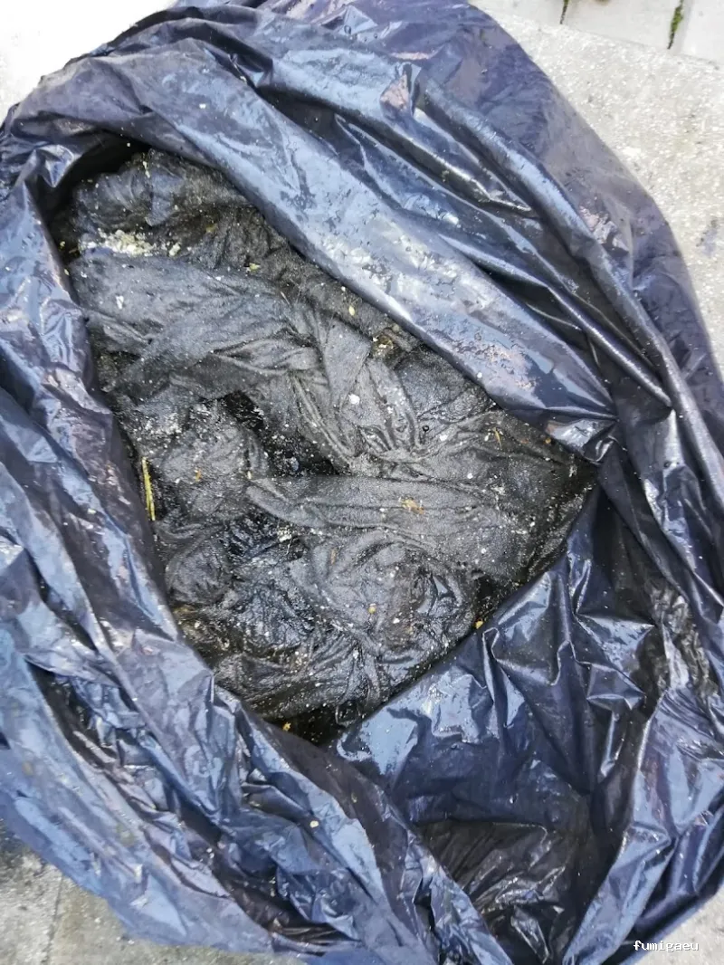 Desokuplagas - Control de Plagas Sevilla