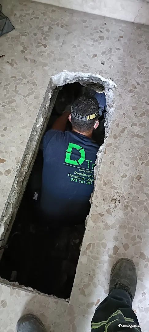 Desokuplagas - Control de Plagas Sevilla