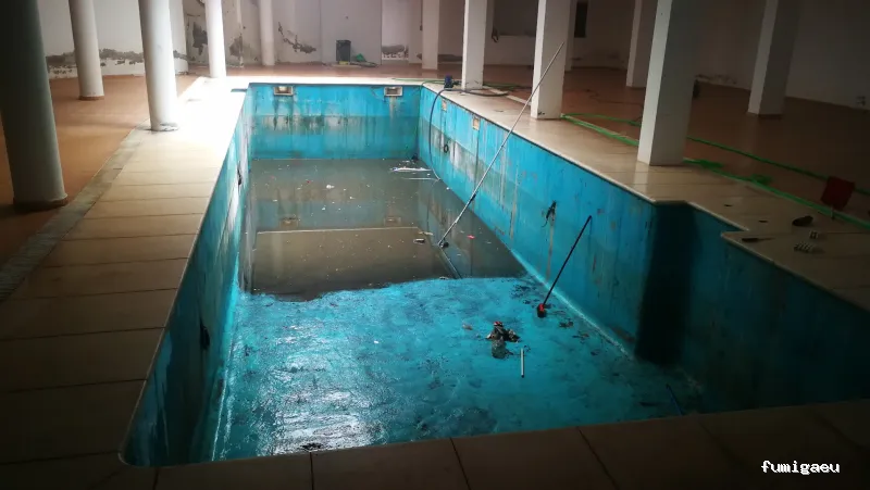 Desokuplagas - Control de Plagas Sevilla