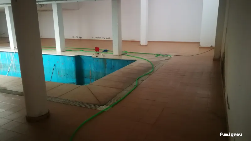 Desokuplagas - Control de Plagas Sevilla