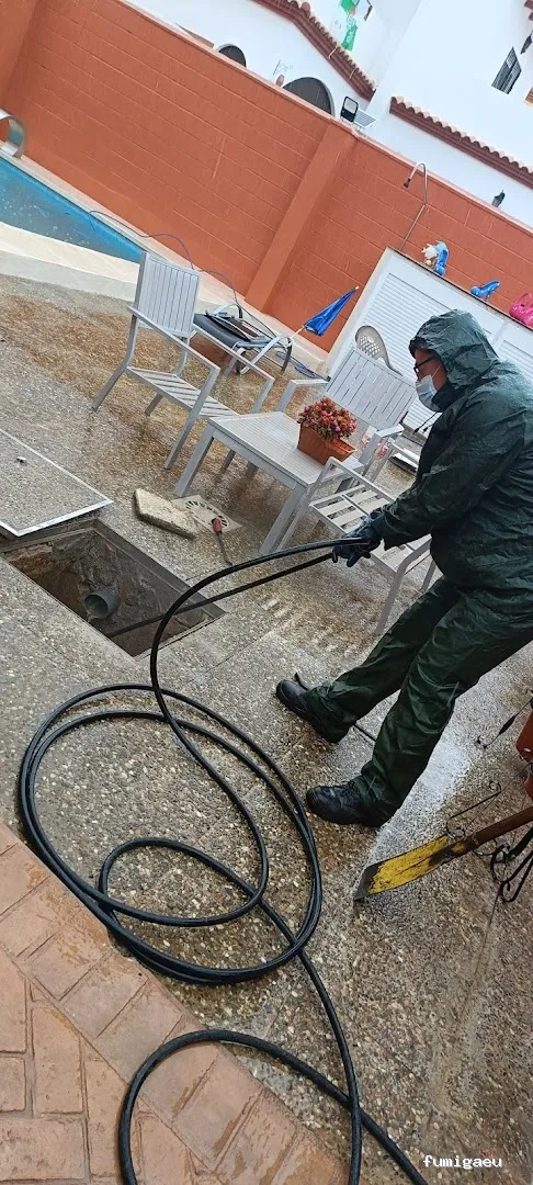 Desokuplagas - Control de Plagas Sevilla