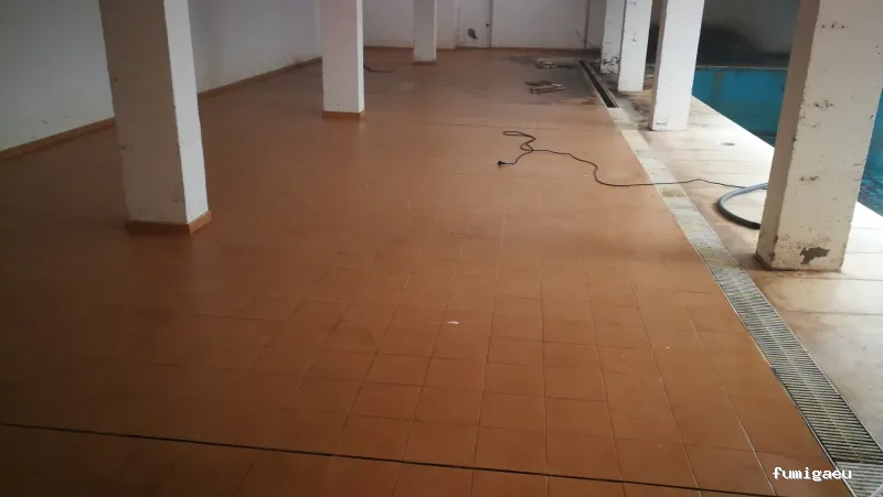 Desokuplagas - Control de Plagas Sevilla