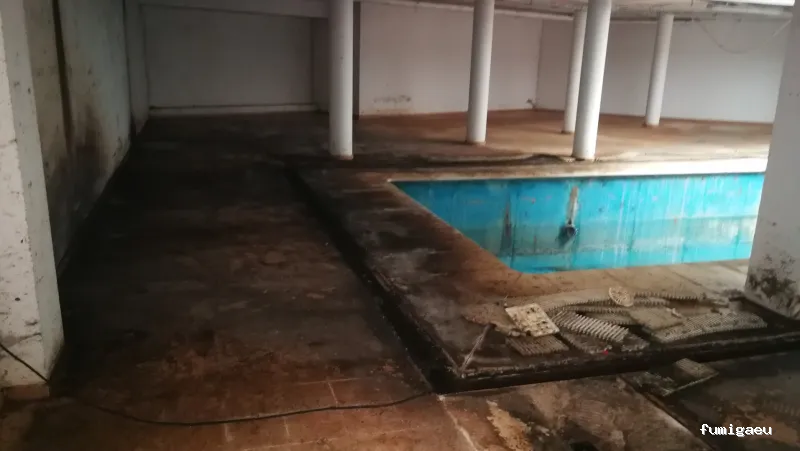 Desokuplagas - Control de Plagas Sevilla