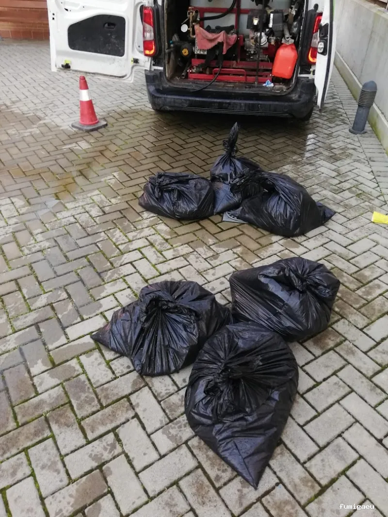 Desokuplagas - Control de Plagas Sevilla