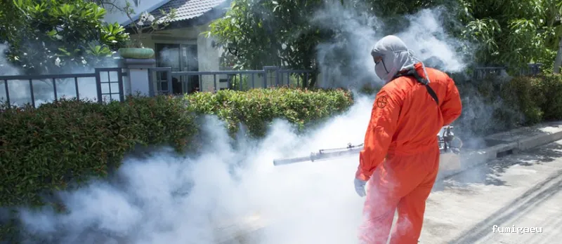 Desinfecciones Kadem