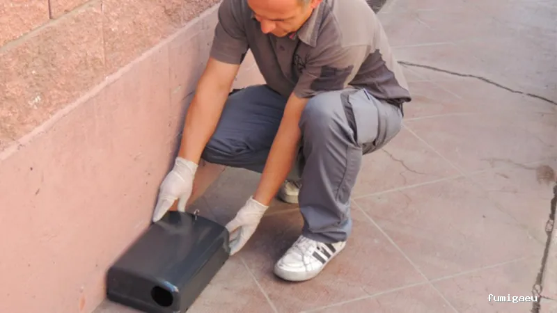 Desinfecciones Kadem