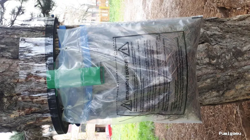 Coplana | Control de Plagas y Tratamiento Carcoma