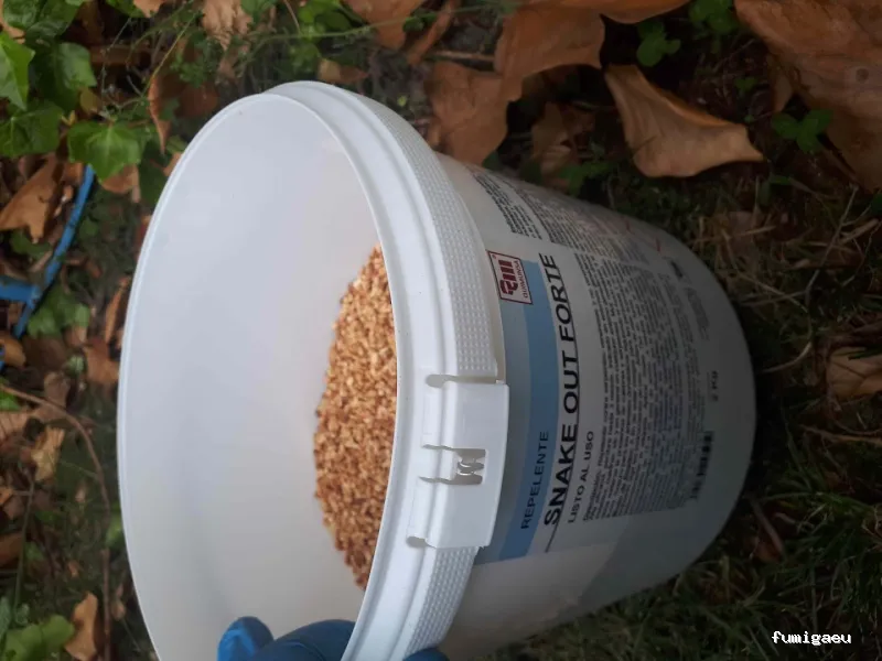 Coplana | Control de Plagas y Tratamiento Carcoma