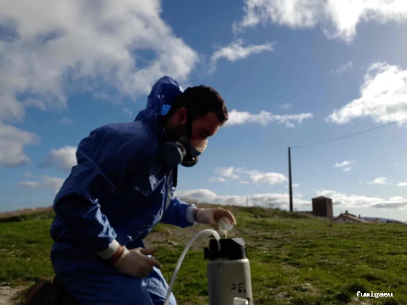 Coplana | Control de Plagas y Tratamiento Carcoma