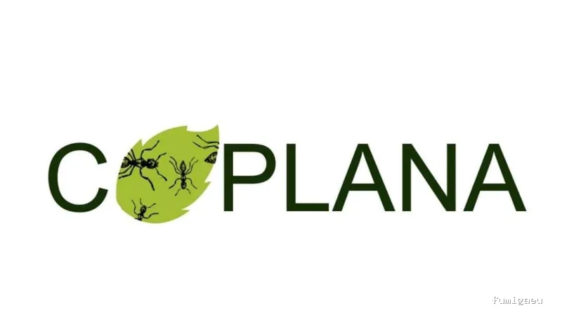 Coplana | Control de Plagas y Tratamiento Carcoma