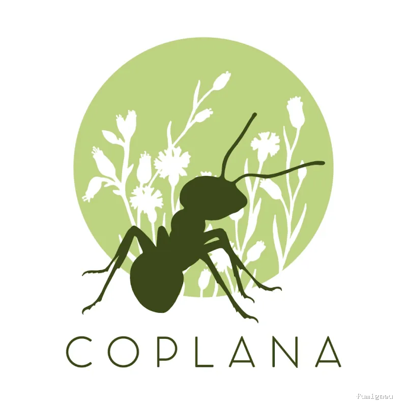 Coplana | Control de Plagas y Tratamiento Carcoma