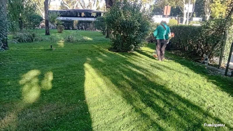 Top Servicial Facility Services