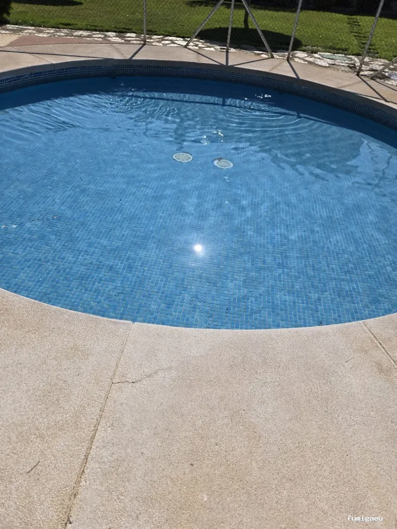 Top Servicial Facility Services