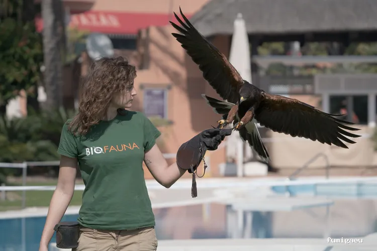 Biofauna - Control de Fauna