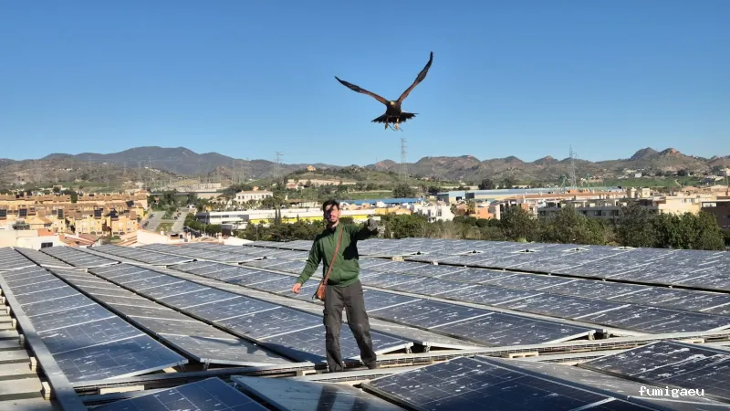 Biofauna - Control de Fauna