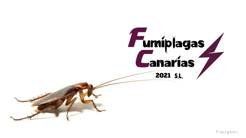 FUMIPLAGAS CANARIAS 2021 S L