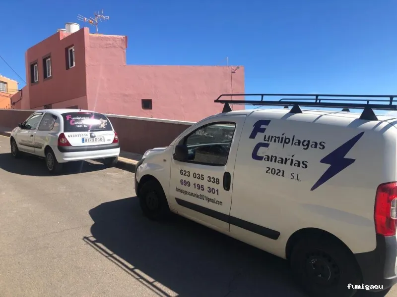 FUMIPLAGAS CANARIAS 2021 S L