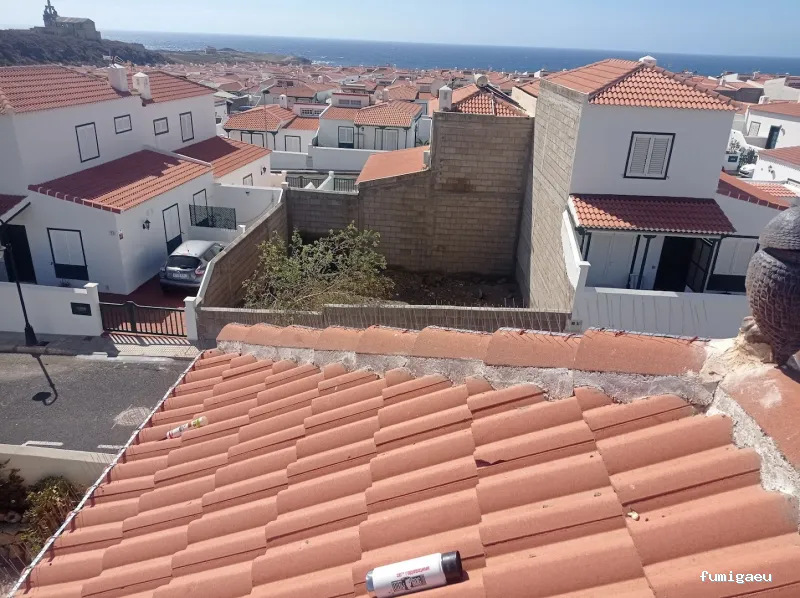 Queen Bee Control De Plagas