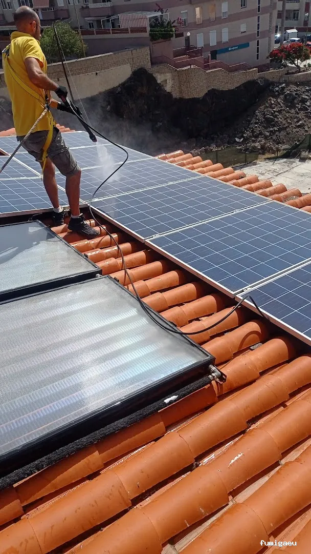 Queen Bee Control De Plagas