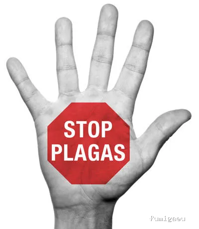 Stop plagas