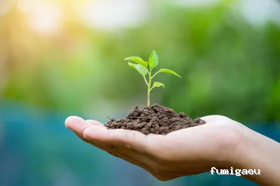 Naturcontrol. Control de plagas Pamplona