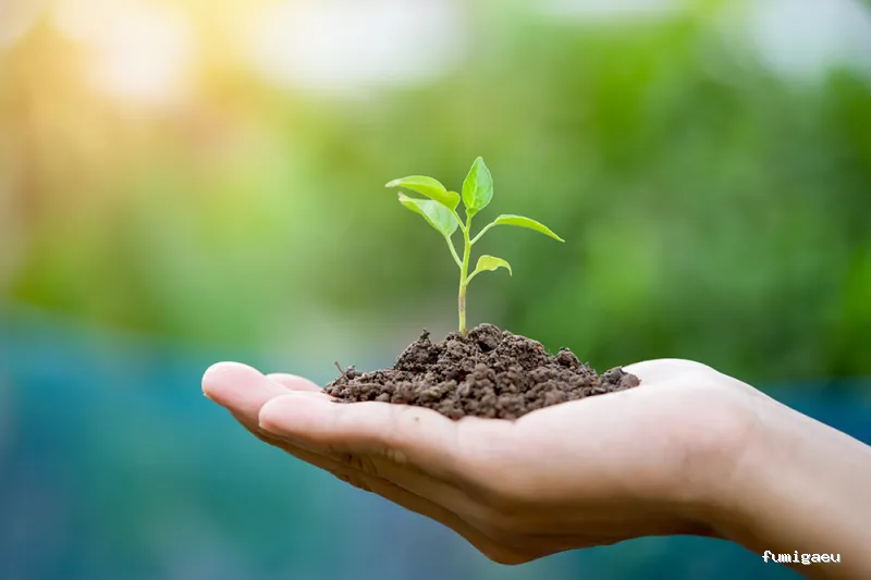 Naturcontrol. Control de plagas Pamplona