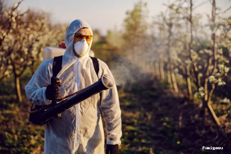 TodoPlagas Barcelona - Fumigación y control de plagas
