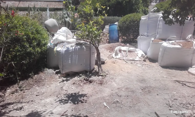 TodoPlagas Barcelona - Fumigación y control de plagas