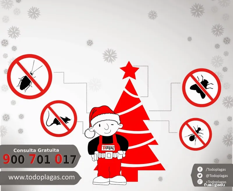 TodoPlagas Barcelona - Fumigación y control de plagas