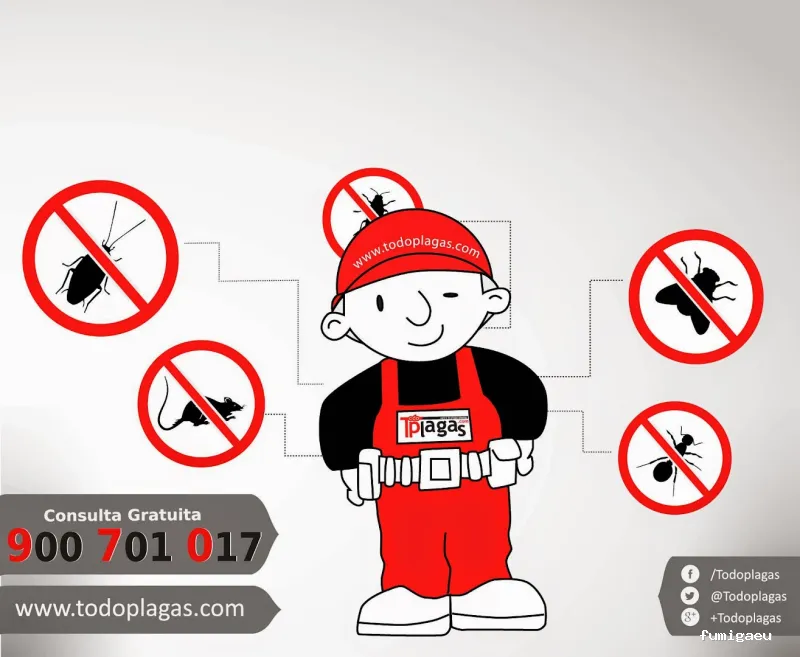 TodoPlagas Barcelona - Fumigación y control de plagas