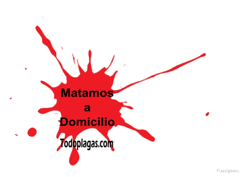 TodoPlagas Barcelona - Fumigación y control de plagas