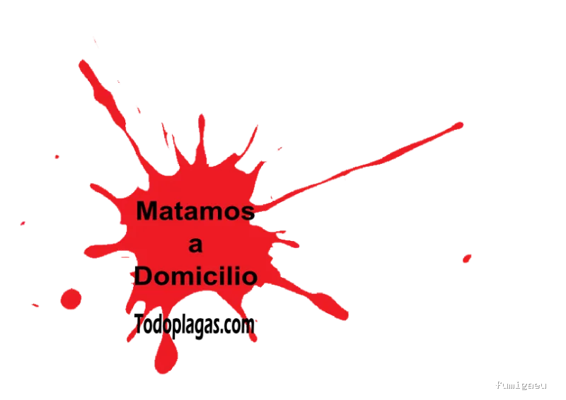 TodoPlagas Barcelona - Fumigación y control de plagas